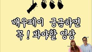 [썰]배우페이 궁금하면 꼭! 봐야할 영상! / 배우지망생들 다 드루와~~