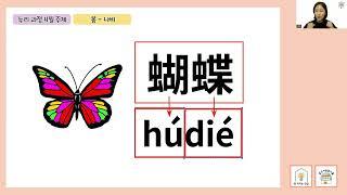 [중국어도 배우는 누리한글1] 누리과정 4월 주제 봄 : 나비 (톡터지는한글X이슬쌤)