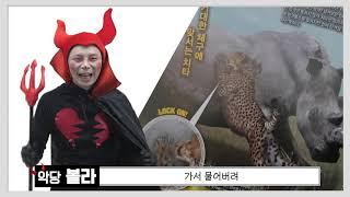 우리의 히어로 하트맨과 동물 친구들이 악당 볼라를 물리칠 수 있을까요?? 친구들 함께 힘을 합쳐주세요횻~ 최강동물왕!