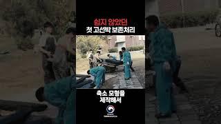 가건물로 시작한 첫 고선박 보존처리